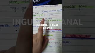 INGUINAL CANAL PART2 [upl. by Oflodur]