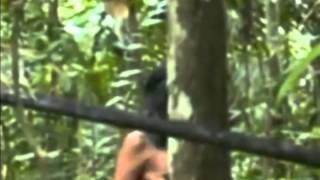 Rare footage of an isolated indian tribe in the Amazon [upl. by Acherman]