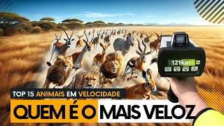 F1 dos animais Top 15 Animais em Velocidade Terrestre [upl. by Percival731]