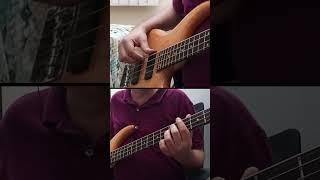 Bill Medley amp Jennifer Warnes  Ive Had The Time of My Life  Bass Cover shorts [upl. by Janek]