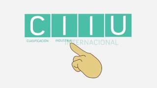 ¿Qué es el código CIIU [upl. by Poock]