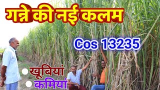 गन्ने की नई वैरायटी 13235  Ganna Variety 13235  Evergreen world Dr Jagan Singh [upl. by Rolph]