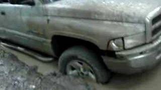 dodge ram really stuck in mud [upl. by Aifos591]