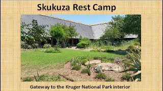 Skukuza Rest Camp Kruger National Park South Africa [upl. by Laohcin]