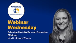 Balancing Chick Welfare and Production Efficiency with Dr Shawna Weimer [upl. by Nnaegroeg]