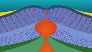 Renouvellement de la lithosphère océanique  dorsale et fusion  SVT  1ère S  Les Bons Profs [upl. by Eneryt]