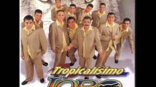 tropicalisimo lobo la mil y una noches [upl. by Sproul]