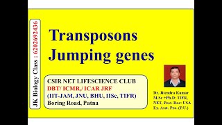 Transposons Jumping genes Types DNA amp Retrotransposons  Video lecture of Dr Jitendra Kumar [upl. by Eceinehs]