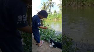 Sea kasi makanan ikan ke kucing 🤔 bocah shorts [upl. by Rez]