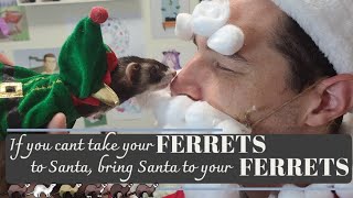 Bring Santa To Your Ferrets [upl. by Wayland34]