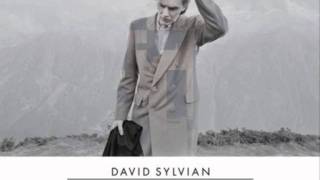 David Sylvian  Wheres Your Gravity [upl. by Anuahs]