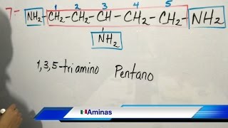 Aminas Nomenclatura Química Orgánica Parte 1 [upl. by Mall]