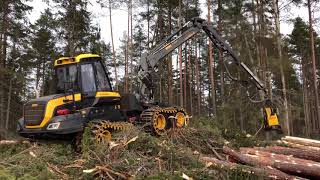 Ponsse harvester with H7 head at work I’m in Finland [upl. by Ruford]