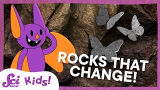 How Metamorphic Rocks Are Like Butterflies  SciShow Kids [upl. by Malachy557]