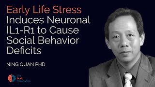 IL1R1 Contributes to StressInduced Social Interaction Deficits  Ning Quan PhD Synchrony 2023 [upl. by Maiah]