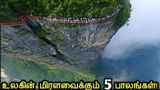 உலகில் உள்ள பிரம்மிக்கவைக்கும் 5 பாலங்கள்  5 Terrifying Bridges in the World [upl. by Gove]