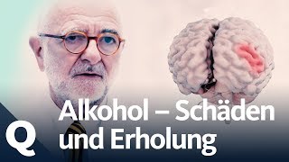 Wie gut kann sich der Körper vom Alkohol erholen  Quarks [upl. by Marleah493]