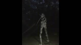 Unnerving images with unnerving music 9 [upl. by Llerot]