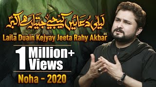 Nohay 2020  Laila Duain Kijiye Jeeta Rahay Akbar  Syed Raza Abbas Zaidi Noha 2020  New Noha 2020 [upl. by Canon422]