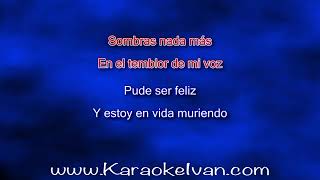 The Mavericks  Sombras nada mas KARAOKE [upl. by Ayenat]