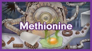 Methionine Amino Acids Mnemonic for MCAT [upl. by Sidonie]