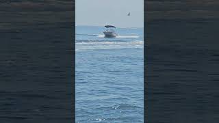 SMALL BOAT ENTERING THE FLORIDA BOAT INLET – VENICE JETTY EXPLORATION [upl. by Jacobah]