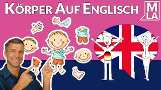 🇬🇧 Die Körperteile auf Englisch  Englische Vokabeln Lernen  Marcus´ Language Academy [upl. by Faria729]