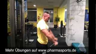 Trainingsübung Frontheben am Kabelzug Bodybuilding Fitnesstraining Schultern [upl. by Tenn600]