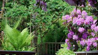 Lost Gardens of Heligan  Cornwall [upl. by Melc995]