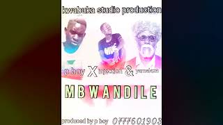 p boy ft one injection amp yamalaza mbwandile official Music audio 0777601903 [upl. by Aisaim]