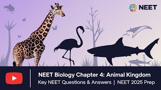 NEET Biology Chapter 4 Animal Kingdom  Key NEET Questions amp Answers  NEET 2025 Prep [upl. by Lenore]