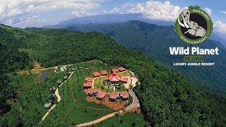 Wild Planet Luxury Jungle Resort Devala Nilgiris  Review by Tech Travel Eat [upl. by Akyeluz]