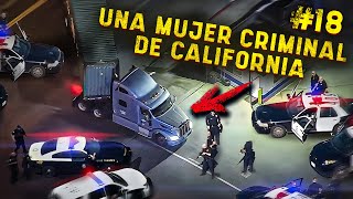 Persecución policial en EEUU secuestrador nº 18 [upl. by Ajar505]