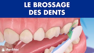 Comment brossage des dents correctement © [upl. by Phenice]