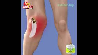 Bee Venom Joint and Bone Therapy Cream [upl. by Crescentia388]