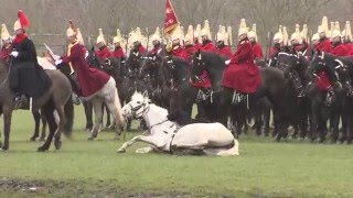 Household Cavalry Season Starts With a SlipUp  Forces TV [upl. by Idnyl]