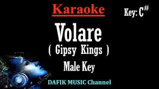 Volare Karaoke Gipsy Kings Low Male Key C [upl. by Alicec]