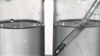 Reaction water NaCl MgCl2 [upl. by Yerffe530]