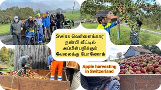 இயற்கை முறையில் அப்பில் juice எடுக்கும் விதம் how to making fresh Apple juice in Switzerland 🇨🇭 [upl. by Anet]