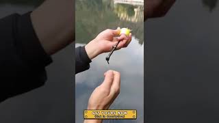 Best Portable Automatic Fishing Hook 2021 Review [upl. by Slohcin]