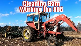 Cleaning The Dairy BarnDiscing With The Farmall 806 [upl. by Shelah]