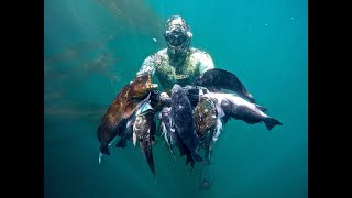 Spearfishing Monterey Area [upl. by Oile889]