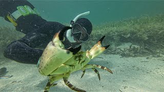 Stone Crabbing By Hand  Catch amp Cook [upl. by Coppola840]