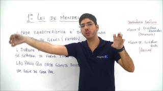 Xtensivo Biologia  1ª Lei de Mendel  Prof Felipe Jardim [upl. by Norward]