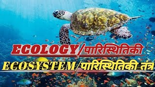 EcologyEcosystemपारिस्थितिकीपारिस्थितिकी तंत्र [upl. by Montgomery]