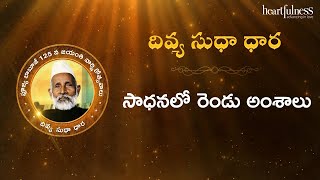 Divya Sudha Dhara  సాధనలో రెండు అంశాలు  Heartfulness Telugu  13112024 [upl. by Amyaj]