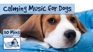 Calming Music Relaxing Sounds for Dogs [upl. by Beutler]