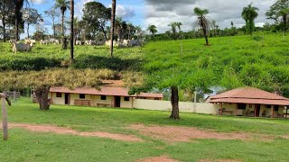 A FAZENDA COM MAIS CULTURA DO TOCANTINS  ARGILA 30 ACIMA  VALE DO ARAGUAIA  CURRALAMA TOP [upl. by Johnna]