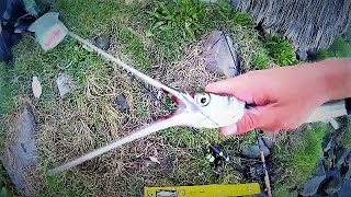 Multispecies saltwater lure fishingHalibut Needlefish Bass [upl. by Zuleika]