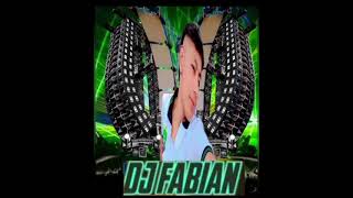 DJ Fabian mix Colombia canserbero [upl. by Fabrianna486]